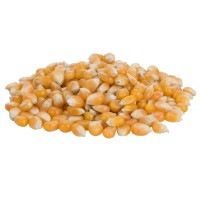 Popcornmaïs 1500 gram - 100 porties
