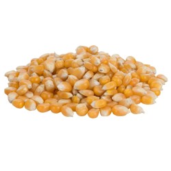 Popcornmaïs 3000 gram - 200 porties