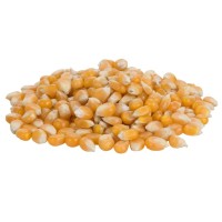 Popcornmaïs 4500 gram - 300 porties